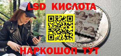 стаф Бузулук