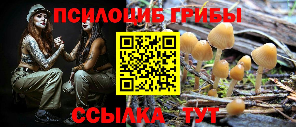 Галлюциногенные грибы Magic Shrooms Кунгур