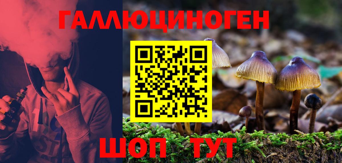 Кунгур  Псилоцибиновые грибы мицелий  Галлюциногенные грибы Psilocybe  закладки  Вход с VPN 